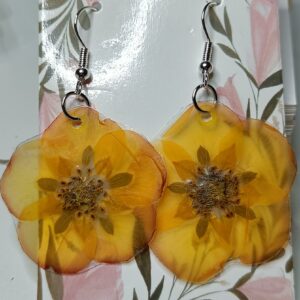 oranssi pensashanhikki