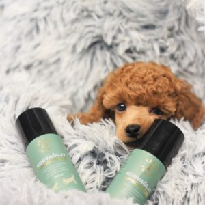 Tassu Foods Korvaöljy + Propolis